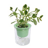 Doniczka Z Systemem Nawadniania PEARL Zielona 8cm Samonawadniajaca Donica